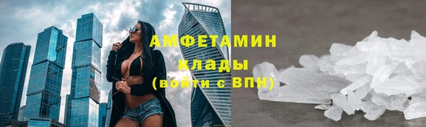 прущие грибы Волосово