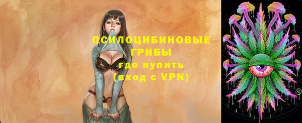 СК Володарск