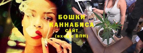 прущие грибы Волосово
